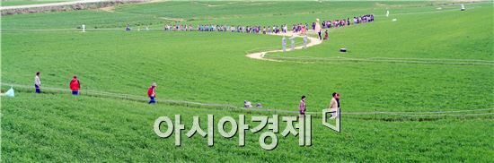[남도힐링여행]주말 가볼만한 곳 3선(튤립·청보리·배꽃)  