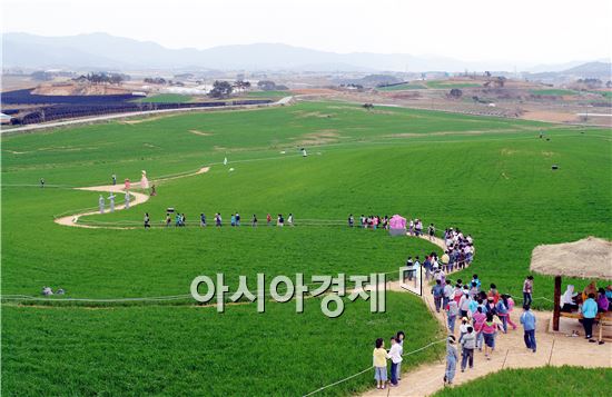 [남도힐링여행]주말 가볼만한 곳 3선(튤립·청보리·배꽃)  