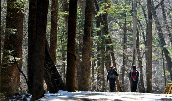 자동차로 10분이지만··봄날의 여유, 어찌 시간을 따지랴