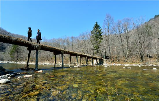 자동차로 10분이지만··봄날의 여유, 어찌 시간을 따지랴