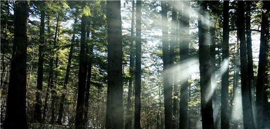 자동차로 10분이지만··봄날의 여유, 어찌 시간을 따지랴