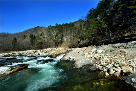 자동차로 10분이지만··봄날의 여유, 어찌 시간을 따지랴