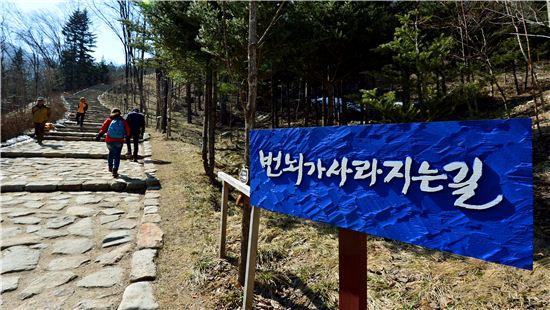 자동차로 10분이지만··봄날의 여유, 어찌 시간을 따지랴