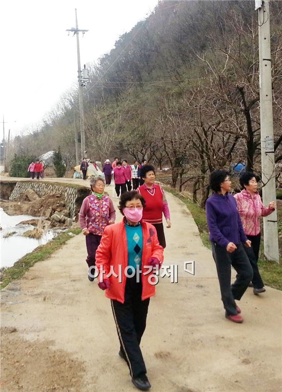 장성은 마을마다 걷기운동 열풍!