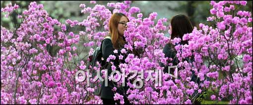 [포토]봄날씨를 만끽하는 학생들