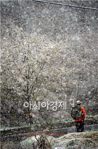 [포토]4월 중순에 맛보는 눈꽃산행