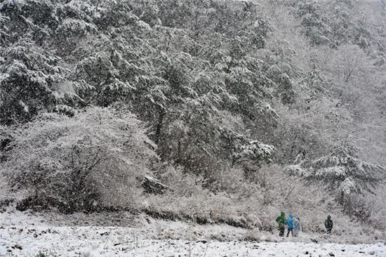 [포토]봄날, 설국의 정취 즐기는 등산객들