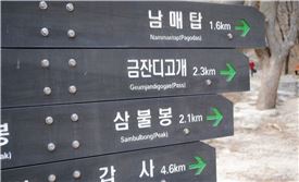 [세종四方]멋·맛 드러낸 동학사 벚꽃 길…꽃비가 내리다