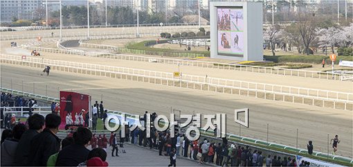 [포토]'인간vs경주마vs자동차, 세기의 스피드 대결'