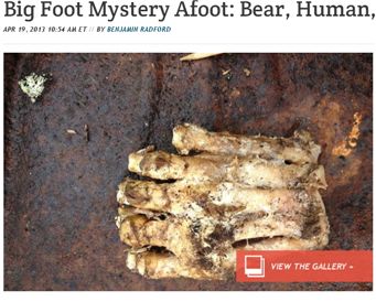 전설의 괴물 '빅풋' 사체 발견 "진짜일까?"