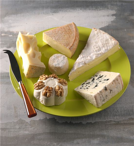 [화제의 연구] 매일 ‘치즈’ 40g 섭취하면 심장질환 줄인다