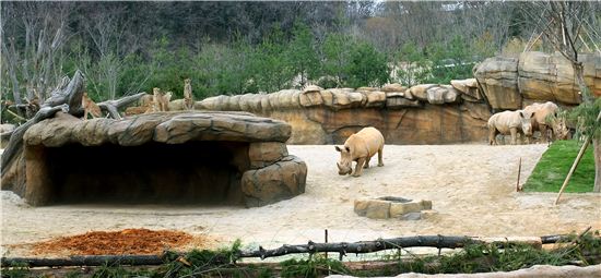 사자·하이에나 노니는 정글을 탐하다 