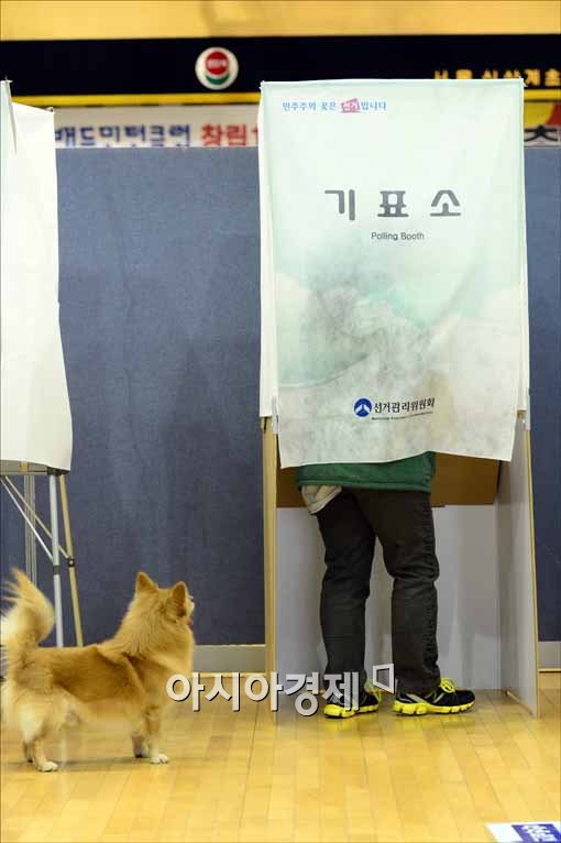 [포토]"빨리 투표해" 애완견도 유권자(?)