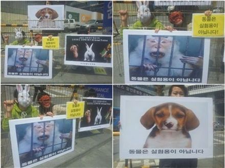 ▲ 24일 오후 서울 서대문구 신촌 세브란스 병원 앞에서 한국동물보호연합 회원들이 동물실험 반대 퍼포먼스를 진행했다. 