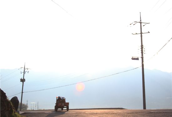 [조문환의 평사리日記]화려한 외출