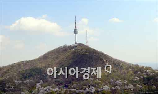 [포토]봄의 정취가 느껴지는 남산