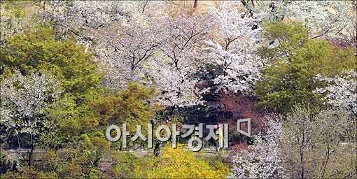 [포토]남산 지나가는 시민들