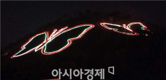 [포토]함평 나비, 밤 하늘 수 놓아