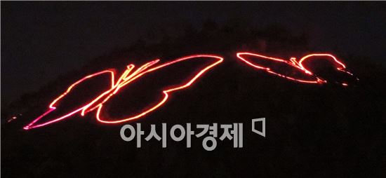 [포토]함평 천지 밤 하늘을 나는 '나비' 