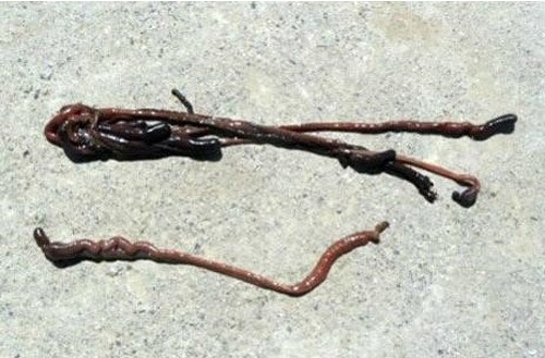 사진제공=고양시