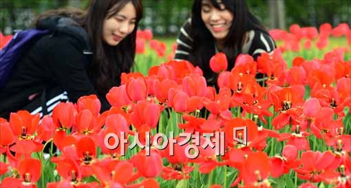 [포토]'튤립이 너무 이뻐요'