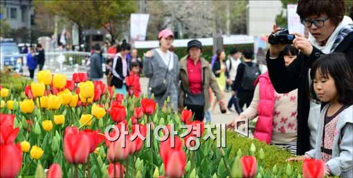 [포토]꽃 구경하는 시민들