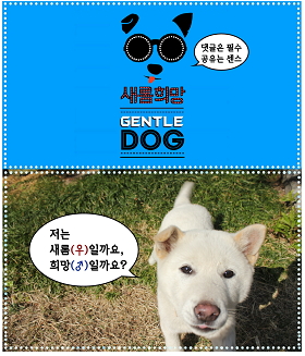 카카오스토리 청와대 버전 '청와대스토리' 오픈