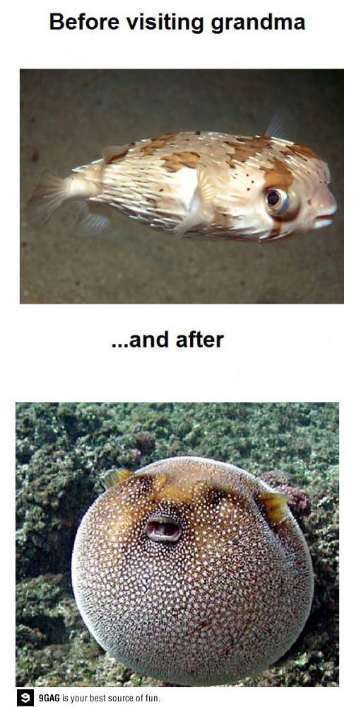 할머니 댁 방문 전후 "빵빵한 배 어떡할 거야"