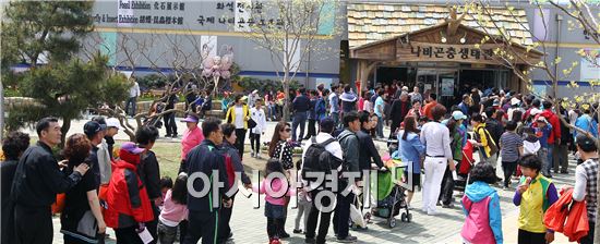 함평나비축제 휴일 인파 ‘북새통’