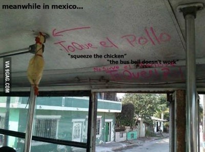 벨이 고장난 버스 "내리려면 닭을 치시오"