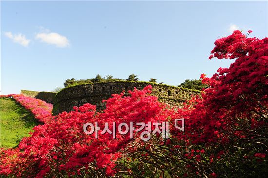 고창읍성, 1.7km 철쭉길 걸어보세요