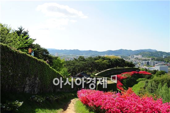 고창읍성, 1.7km 철쭉길 걸어보세요