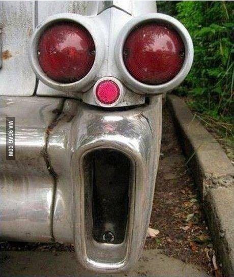 수십 년째 놀란 범퍼 "뒤에 오던 차도 놀랐겠다"