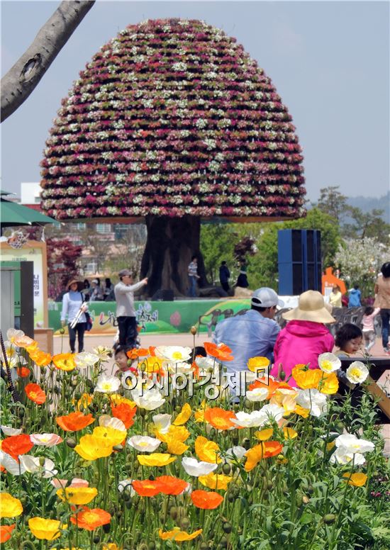 [포토]나비축제장 '희망나무'에  패추니아 만개