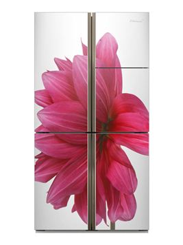 위니아만도, 김중만 사진 입힌 냉장고 1020대 한정 판매 