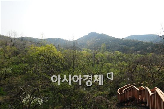운곡습지(오베이골)