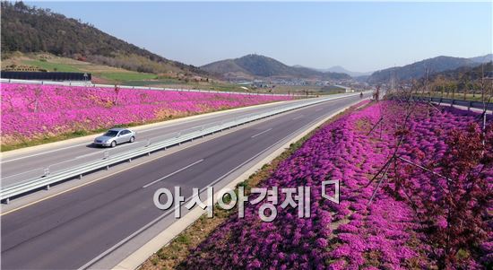 [포토]함평 자연생태공원 꽃잔디 만개, 관광객 유혹 