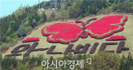 [포토]와~나비다 