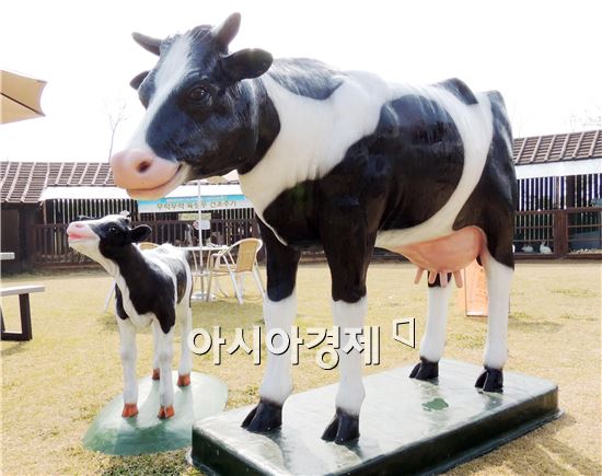 함평나비축제와 함께 ‘도심 속 목장 나들이’ 개최