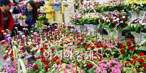 [포토]어떤 카네이션 살까?