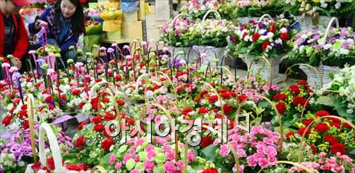 [포토]어떤게 이쁠까?