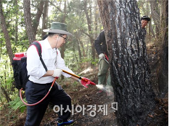 [포토]산불현장에 출동한  노희용 광주시 동구청장