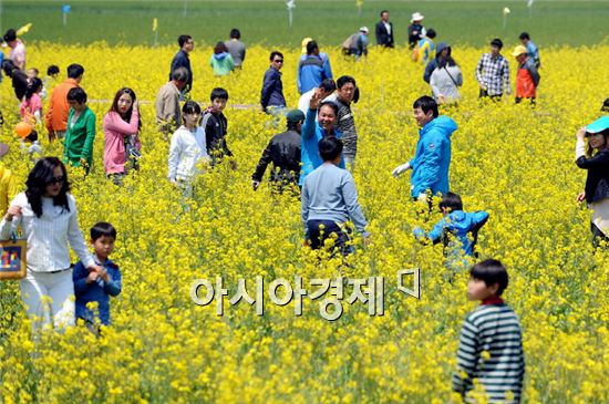 영광 찰보리 문화 축제 성료