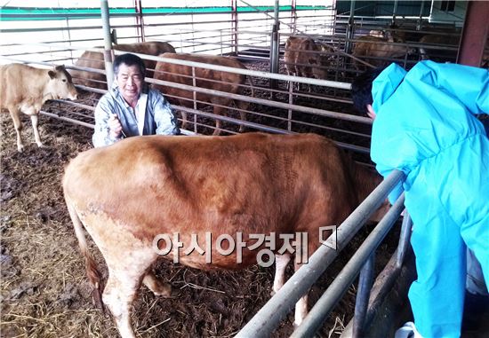 전북 정읍도 구제역 확진…“계란값에 이어 고기값도 폭등하겠네”