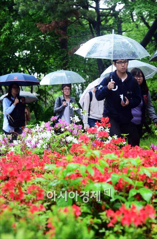 [포토]비 내리는 서울 도심, 우산 쓴 시민들 