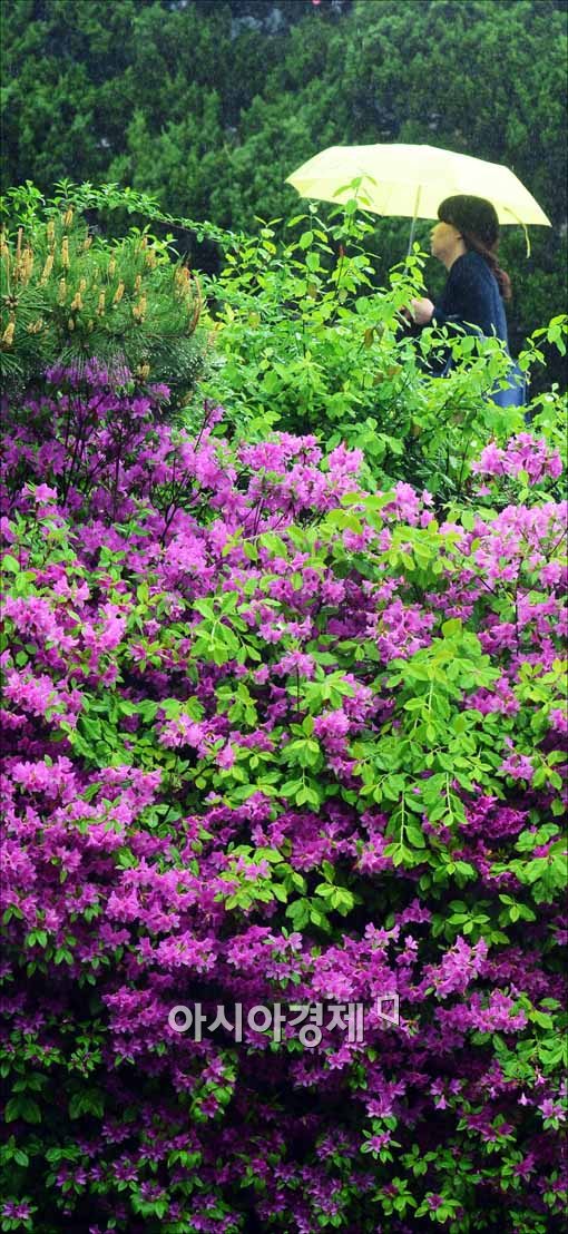 [포토]우산 쓴 시민