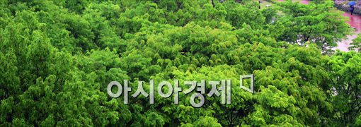 [포토]봄비 내리는 서울