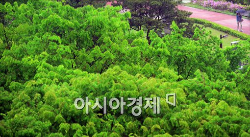 [포토]우산 쓴 시민