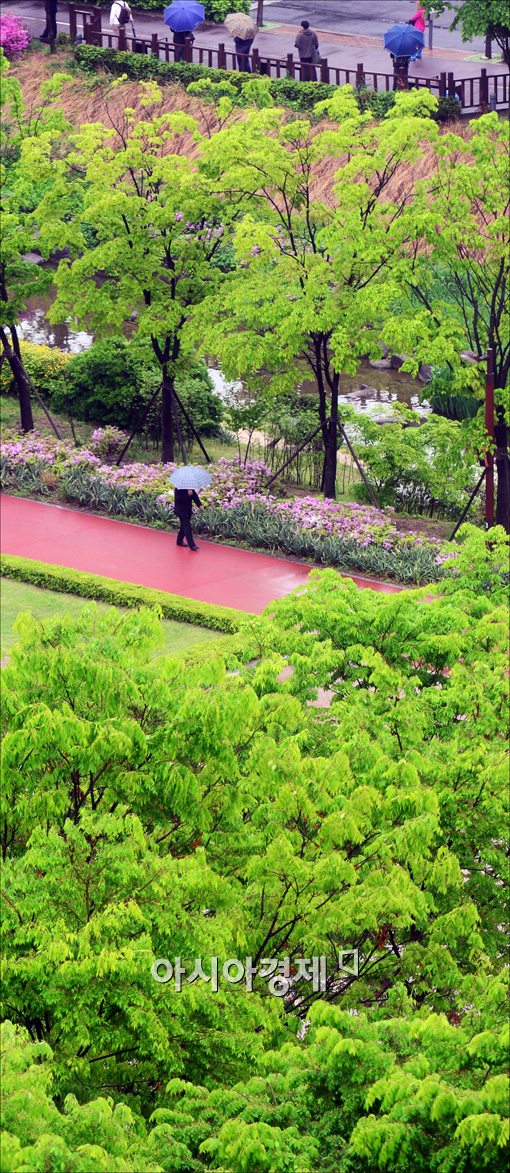 [포토]나무 사이로 지나가는 우산 쓴 시민 