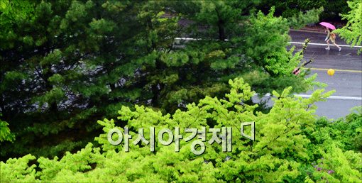 [포토]핑크 우산